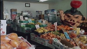 Watch Super Sentai Zyuranger Season 1 Episode 8 - Terror! Eaten in an Instant