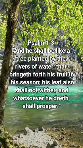 Like a Tree Planted by Rivers of Water | Psalm 1:3 (KJV)