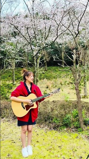 ギター弾き語り1年100曲チャレンジ！35曲目 上を向いて歩こう/ 坂本九 #弾き語り #ギター #ギター弾き語り #cover