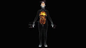 Femme Anatomie Corps La - Free video on Pixabay