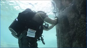 Navy Underwater Construction Teams, the Seabees, celebrate 50th anniversary of 1974 establishment