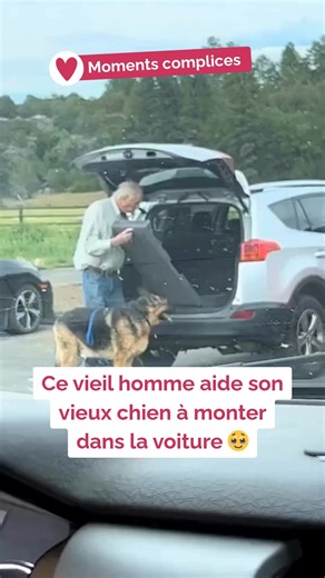 69K views · 2.6K reactions | Dans ce petit acte de bienveillance, se lit une histoire entière : celle d’un homme et de son fidèle ami, tous deux âgés, qui continuent de prendre soin l’un de l’autre 懶 | Esthima | Facebook