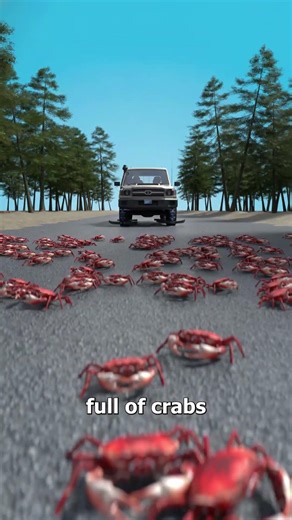 How Do Crab Sweepers Work 😮