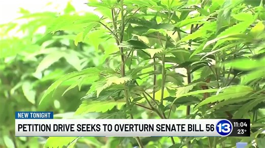 Ohio marijuana law overhaul set to take effect; petition drive aims to repeal changes