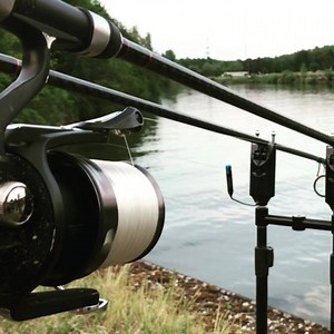 CTX Screamer!!! Monster take on one of Francis’ ctx from one of his euro trips! #freespiritfishing #ctx #carp #carpfishing #eurotrip #screamer | Free Spirit Fishing