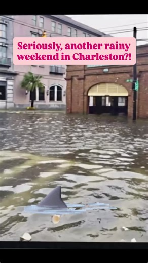 Charleston streets might turn into rivers 🌊🚗💦 but Folly Bus? We call that a mobile pool party 🕺🚌💃 Rain or shine, the good times still roll. Safely, of course! #FollyBus #charlestonflood #follybeach
