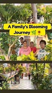 *A Family’s Blooming Journey* 🌿🌻