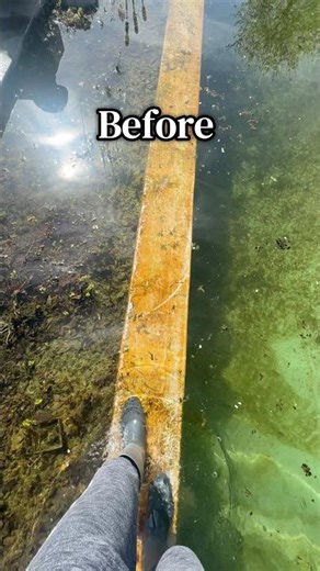 I did it guys I finally cleaned up the pool #poolcleaning #spring #backyardpool