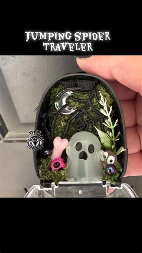 Thank you for supporting @spoododdities #jumpingspider #custommade #spoodtraveler #jumpingspiderbreeder #spookyvibes #petspider #jumpingspidersofinstagram #fyp #jumpingspiders #spoododdities | Spood Oddities