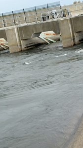 Fishing The California Aqueduct in the Rain with 3inch Gong Baits, paired up with a J&T Fish Head #CaliforniaAqueduct #fishinglife | POOR MAN Aqueduct Fishing Tackle Shop