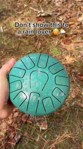 The rain is way better now 🥹🌦️ #raindrum #instrument #garden #home