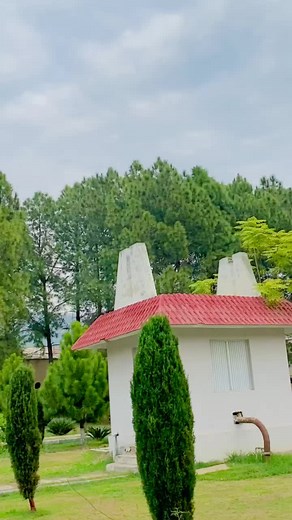 University of Malakand Professors AI Bro