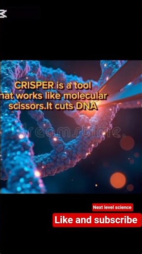 GenomeEditing/CRISPER