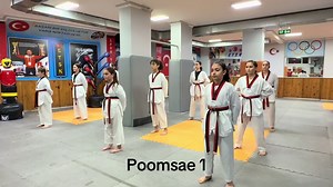 Poomsae 1: Taekwondo Aşamaları ve Teknikleri