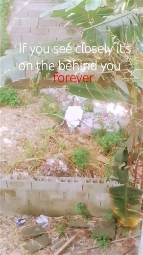 Don't stay in here😨