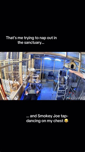 81 reactions · 8 comments | So sweet, but yes… it hurt!  | Cat Trap Fever of Ionia County- Michigan | Facebook