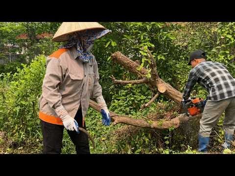 Overgrown Yard to Beautiful Garden — Satisfying Full Restoration