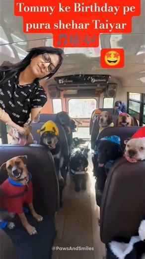 Party 🥳🥳 like a dogstar: Tommy ka Birthday celebration 🎊🎉🎊🎉🎊🎉🎊🎂🐕