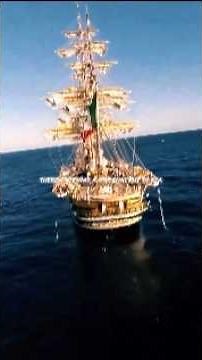 Wellerman- Sea Shanty | trend | song | lyrics | music | Aesthetic | edit