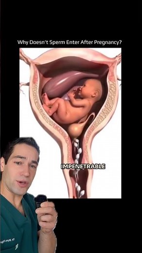 Why multiple pregnancies (usually) don’t happen at the same time!