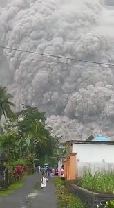 🔴🔴 Al menos 39 personas han muerto y otras doce se encuentran en paradero desconocido tras la erupción del volcán #Semeru este pasado sábado Se trata de una erupción de tipo #explosivo que ha ocurrido en la provincia indonesia de Java Oriental ▶ Accede a la noticia completa: https://rtvc.es/al-menos-39-muertos-y-12-desaparecidos-por-la-erupcion-del-semeru/ | RadioTelevisión Canaria - RTVC.es
