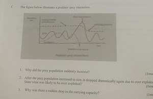 The figure below illustrates a predator-prey interaction.Why ... | Filo