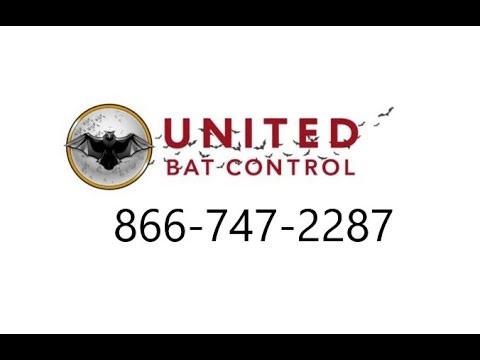 United Bat Control & Removal | Protecting School | 866-747-2287