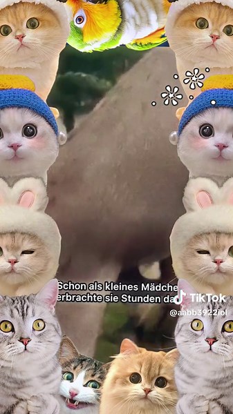 Heartwarming Dog Meets Puppy for the First Time