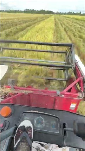 MAXXI ||#kombi #kombisawah #maxxibimo102standar #maxxibimoterbaru #combineharvester #maxxibimo #fyp