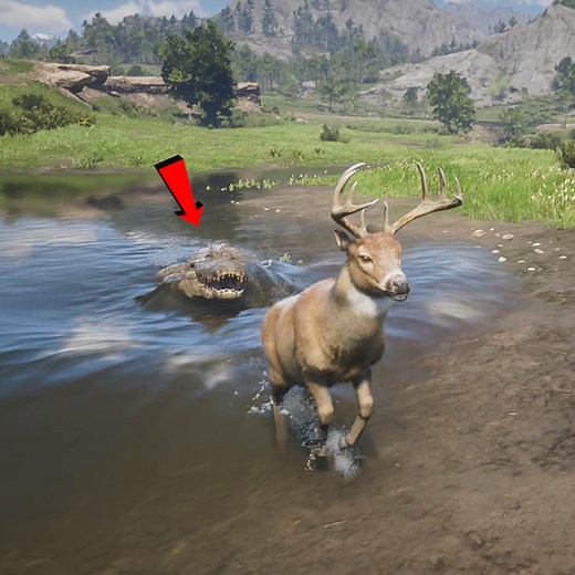 Crocodiles Attacks European Wild Deer | Rony