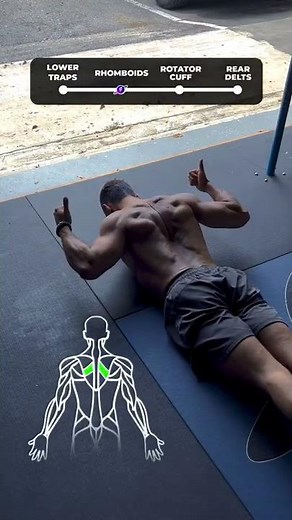 ✅ 4 Shoulder Stability Exercises!