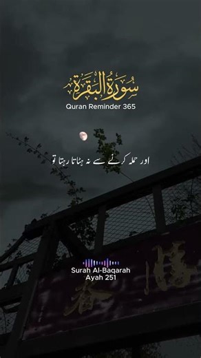 Listen Daily Surah Al Baqarah for Protection ✨