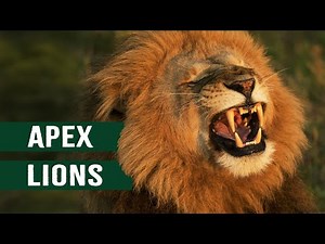 Killer Lions In The Savannah & The Planet’s Most Lethal Apex Predators