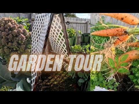 Spring Container Garden Tour 2026 | Zone 9B Houston Garden Walkthrough