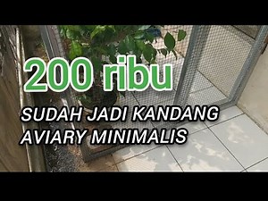 Building a Minimalist Aviary Cage: 200,000 Rupiah is Enough