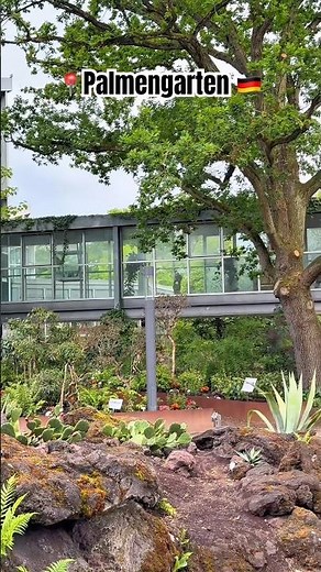 Palmengarten Frankfurt 4K | Butterfly House & Flowers #Shorts