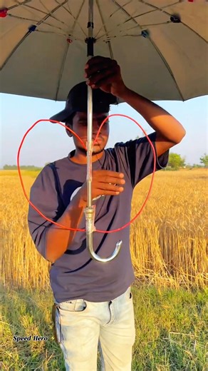 When the temperature reaches 40 degrees Celsius, and this is how they go to work in the fields.