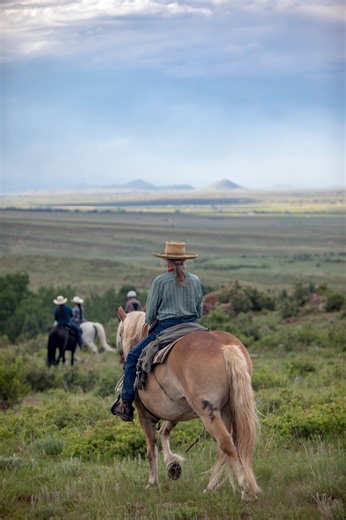 Happy Trail-Tip Tuesday! Trail users of all types exist and it takes some communication and kindness to make sure everyone stays safe and gets to enjoy their time outside. While not every scenario or tip could fit into a short video, some common things to keep in mind when passing by riders and their equines are the following: 1) Equines have the right of way 2) It is safest for both riders and other users for horses to pass on the uphill side of the trail. An inexperienced horse is more likely 