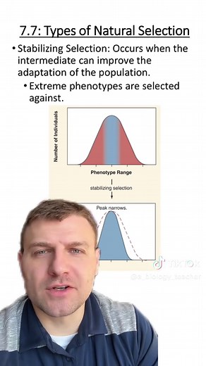 Understanding Types of Natural Selection in Biology