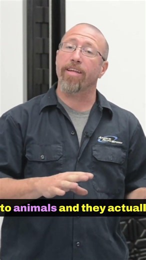 The Risks of Antifreeze Animal Safety Insight 🐾⚠️