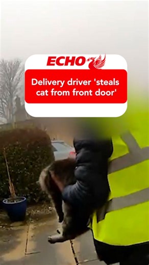 This is the shocking moment a delivery driver 'steals a cat' | Liverpool Echo News