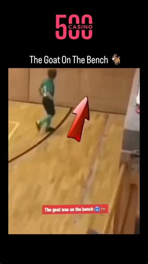 Sports on Instagram: "This viral video features a young boy in a green soccer jersey (Number 9) staging an "unauthorized substitution" that has captured the internet's heart. Detailed Scene Description The video opens on an indoor soccer (futsal) court. While the game is actively in play, a small boy—presumably a substitute or a younger sibling—is seen standing on the sidelines behind a low wooden barrier. * The "Illegal" Entry: Without a word or a signal, the boy suddenly hops over the wooden b