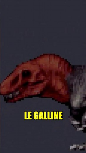 QUELLA NON È UNA GALLINA! 😱