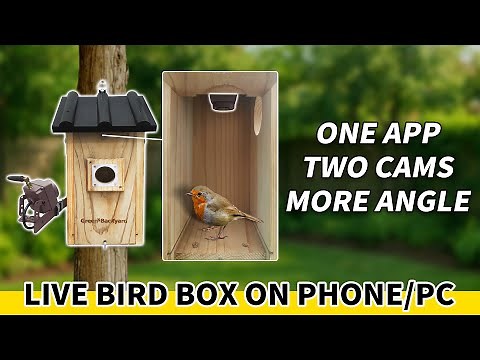 How to Set Up TWO Bird Box Cameras | Watch Birds from Every Angle!