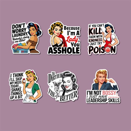 Retro Sarcastic Vinyl Sticker 3 Inch | Funny Feminist Decal | Snarky Vintage Pin up Laptop Sticker | Buy Single or 6 Pack Set - Etsy