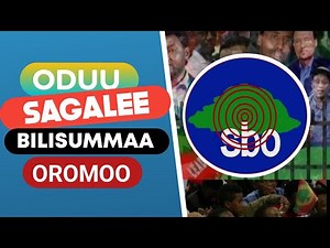 Oduu Guyyaa Har'aa - Sagalee Bilisummaa Oromoo Sagantaa Afaan Oromoo Oromo Media