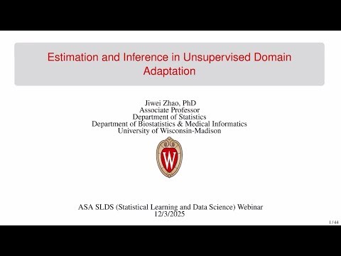 Jiwei Zhao: Estimation and Inference in Unsupervised Domain Adaptation