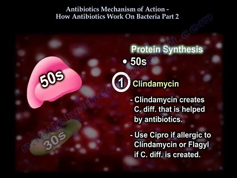 How antibiotics work , Part 2 - Everything You Need To Know - Dr. Nabil Ebraheim