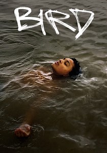 Bird - movie: where to watch streaming online