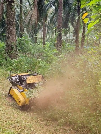 Discover the SW1000 Remote Control Grass Mower